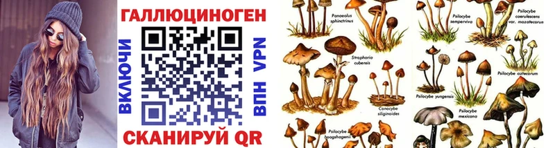 Псилоцибиновые грибы Magic Shrooms  цена   Канск 