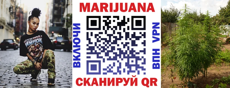 Бошки Шишки план  Канск 